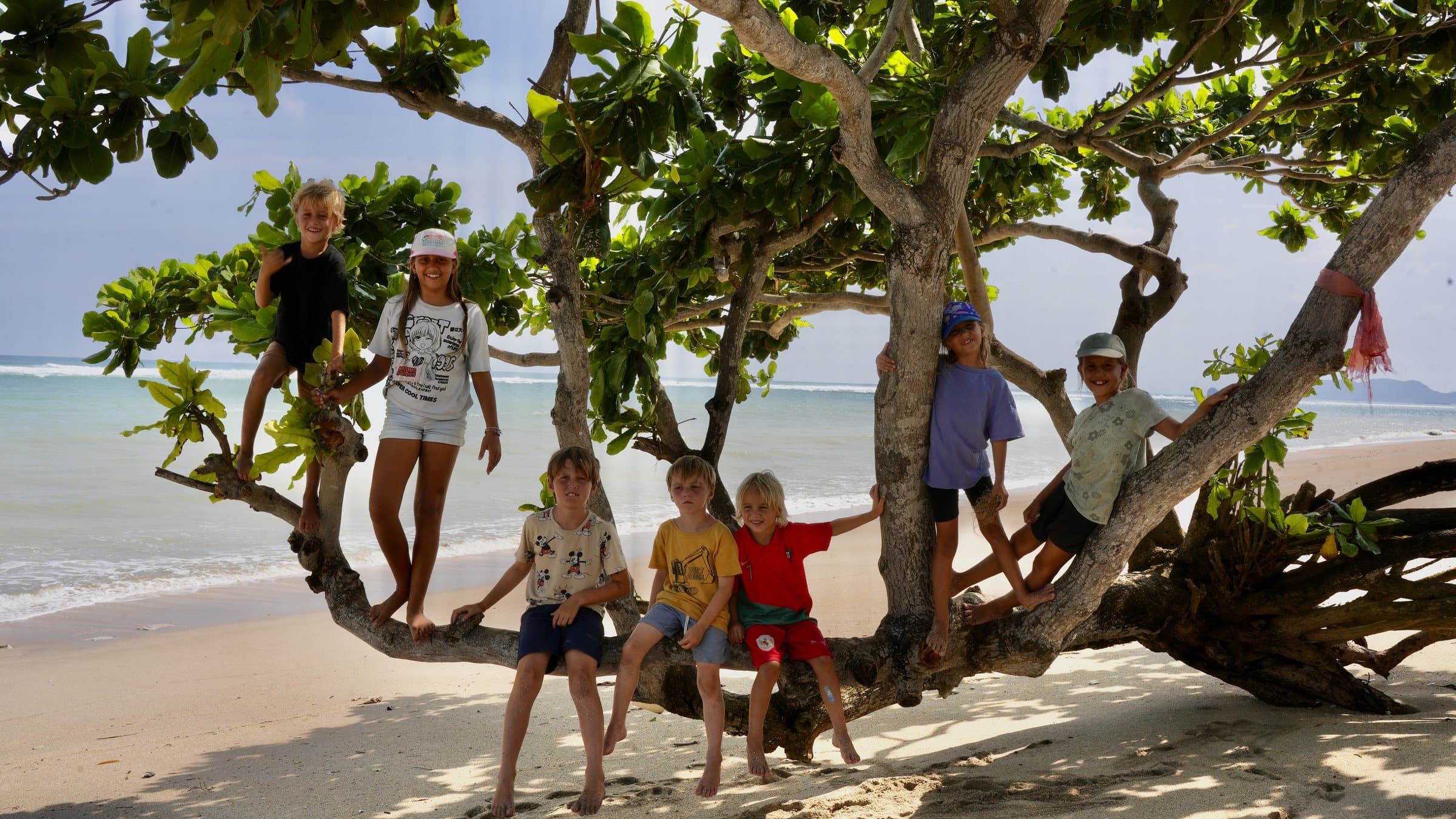 Students climbing a beach tree overlooking the ocean at Selong Belanak