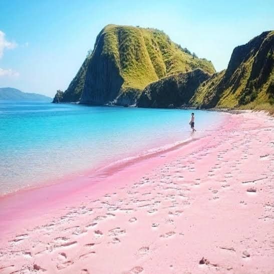 A visitor walking along the pink sand at Pink Beach, Lombok